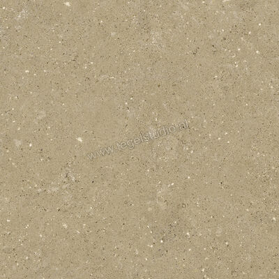  Del Conca Wild Beige 60x60 cm Vloertegel / Wandtegel Mat Vlak Naturale G9WD01R | 410025