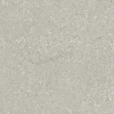  Del Conca Wild Grey 60x60 cm Vloertegel / Wandtegel Mat Vlak Naturale G9WD05R | 410028