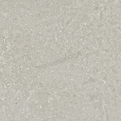  Del Conca Wild Grey 60x60 cm Vloertegel / Wandtegel Mat Vlak Naturale G9WD05R | 410031