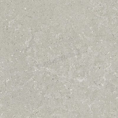  Del Conca Wild Grey 60x60 cm Vloertegel / Wandtegel Mat Vlak Naturale G9WD05R | 410034