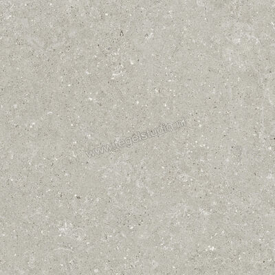  Del Conca Wild Grey 60x60 cm Vloertegel / Wandtegel Mat Vlak Naturale G9WD05R | 410037