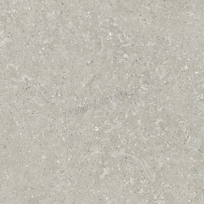  Del Conca Wild Grey 60x60 cm Vloertegel / Wandtegel Mat Vlak Naturale G9WD05R | 410040