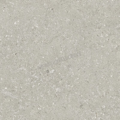  Del Conca Wild Grey 60x60 cm Vloertegel / Wandtegel Mat Vlak Naturale G9WD05R | 410043