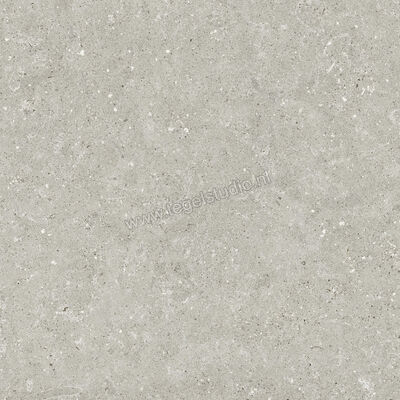  Del Conca Wild Grey 60x60 cm Vloertegel / Wandtegel Mat Vlak Naturale G9WD05R | 410046