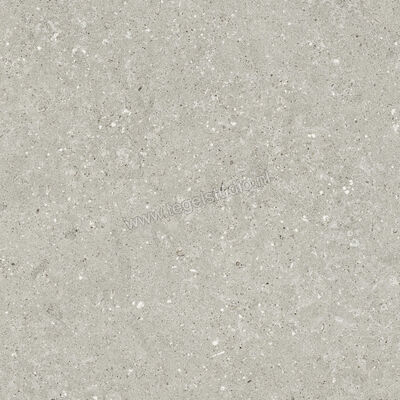 Del Conca Wild Grey 60x60 cm Vloertegel / Wandtegel Mat Vlak Naturale G9WD05R | 410049