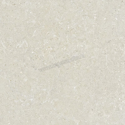  Del Conca Wild White 60x60 cm Vloertegel / Wandtegel Mat Vlak Naturale G9WD10R | 410064