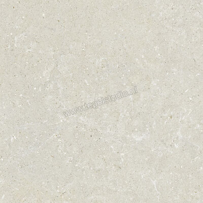  Del Conca Wild White 60x60 cm Vloertegel / Wandtegel Mat Vlak Naturale G9WD10R | 410070