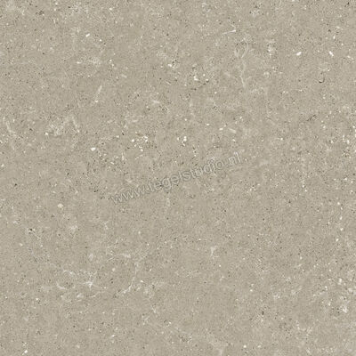  Del Conca Wild Greige 60x60 cm Vloertegel / Wandtegel Mat Vlak Naturale G9WD11R | 410073