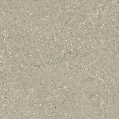  Del Conca Wild Greige 60x60 cm Vloertegel / Wandtegel Mat Vlak Naturale G9WD11R | 410076