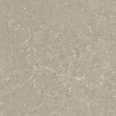  Del Conca Wild Greige 60x60 cm Vloertegel / Wandtegel Mat Vlak Naturale G9WD11R | 410079