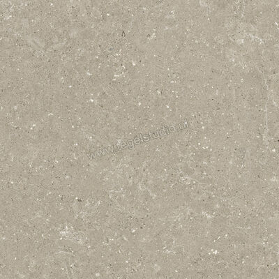  Del Conca Wild Greige 60x60 cm Vloertegel / Wandtegel Mat Vlak Naturale G9WD11R | 410082