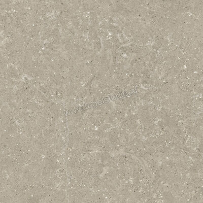  Del Conca Wild Greige 60x60 cm Vloertegel / Wandtegel Mat Vlak Naturale G9WD11R | 410085