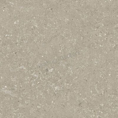  Del Conca Wild Greige 60x60 cm Vloertegel / Wandtegel Mat Vlak Naturale G9WD11R | 410088