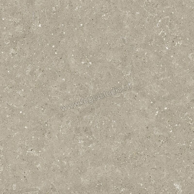  Del Conca Wild Greige 60x60 cm Vloertegel / Wandtegel Mat Vlak Naturale G9WD11R | 410091