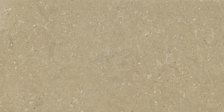  Del Conca Wild Beige 60x120 cm Vloertegel / Wandtegel Mat Vlak Naturale GCWD01R | 410094