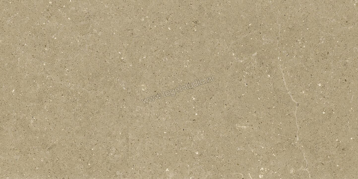  Del Conca Wild Beige 60x120 cm Vloertegel / Wandtegel Mat Vlak Naturale GCWD01R | 410097