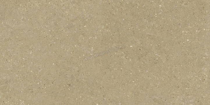  Del Conca Wild Beige 60x120 cm Vloertegel / Wandtegel Mat Vlak Naturale GCWD01R | 410100