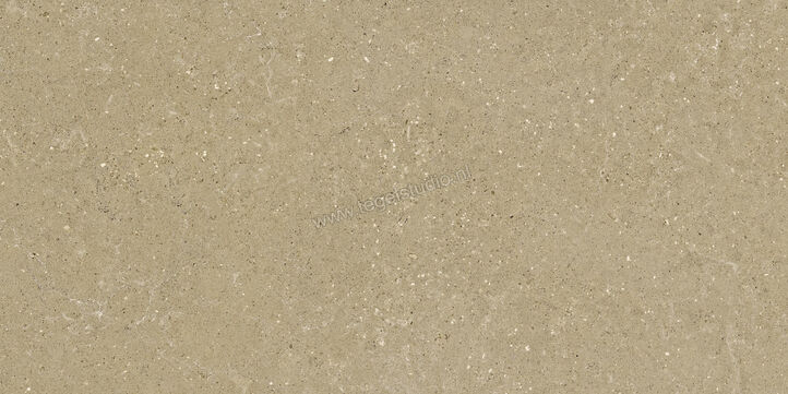  Del Conca Wild Beige 60x120 cm Vloertegel / Wandtegel Mat Vlak Naturale GCWD01R | 410106