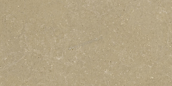  Del Conca Wild Beige 60x120 cm Vloertegel / Wandtegel Mat Vlak Naturale GCWD01R | 410109
