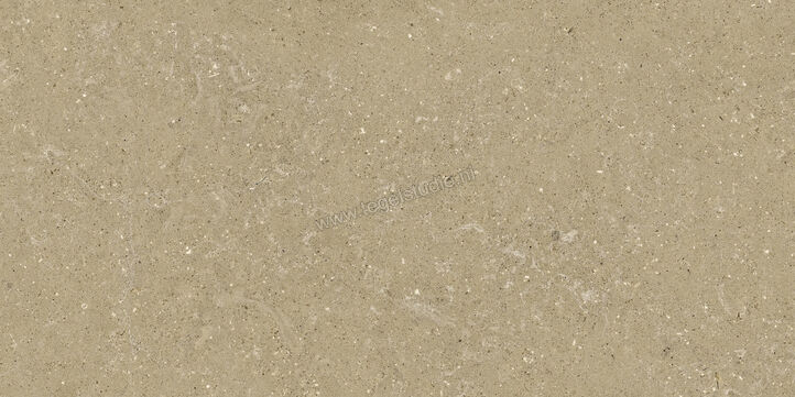  Del Conca Wild Beige 60x120 cm Vloertegel / Wandtegel Mat Vlak Naturale GCWD01R | 410112