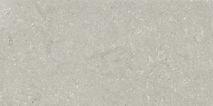  Del Conca Wild Grey 60x120 cm Vloertegel / Wandtegel Mat Vlak Naturale GCWD05R | 410118