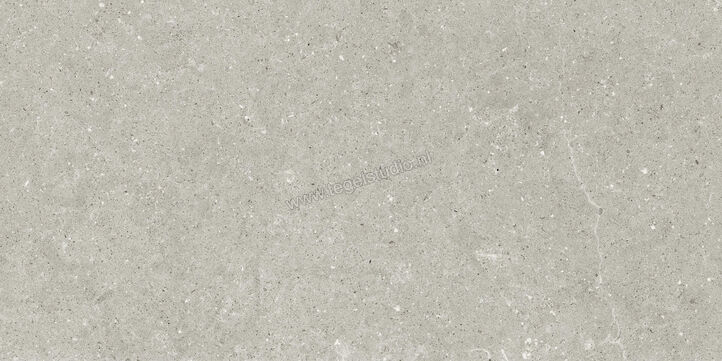  Del Conca Wild Grey 60x120 cm Vloertegel / Wandtegel Mat Vlak Naturale GCWD05R | 410121