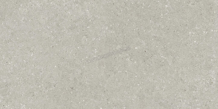  Del Conca Wild Grey 60x120 cm Vloertegel / Wandtegel Mat Vlak Naturale GCWD05R | 410124