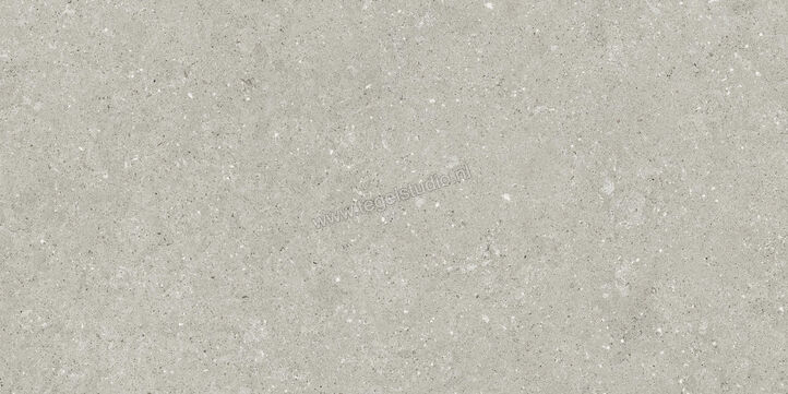  Del Conca Wild Grey 60x120 cm Vloertegel / Wandtegel Mat Vlak Naturale GCWD05R | 410127