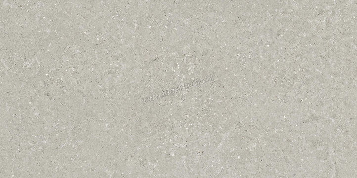  Del Conca Wild Grey 60x120 cm Vloertegel / Wandtegel Mat Vlak Naturale GCWD05R | 410130