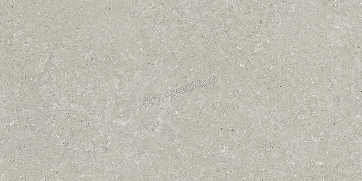  Del Conca Wild Grey 60x120 cm Vloertegel / Wandtegel Mat Vlak Naturale GCWD05R | 410133