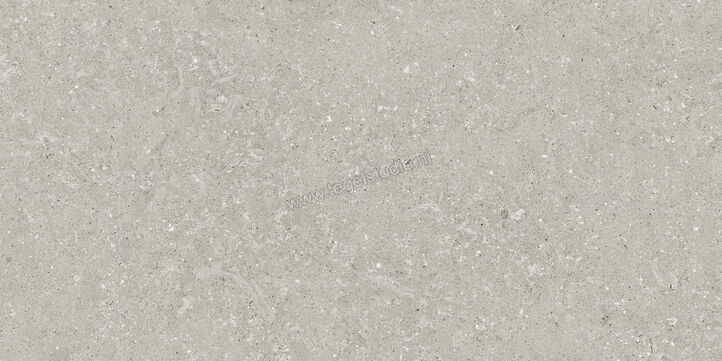  Del Conca Wild Grey 60x120 cm Vloertegel / Wandtegel Mat Vlak Naturale GCWD05R | 410136