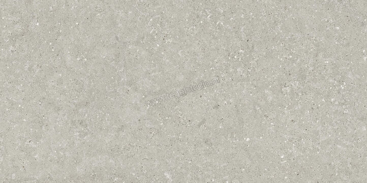  Del Conca Wild Grey 60x120 cm Vloertegel / Wandtegel Mat Vlak Naturale GCWD05R | 410139