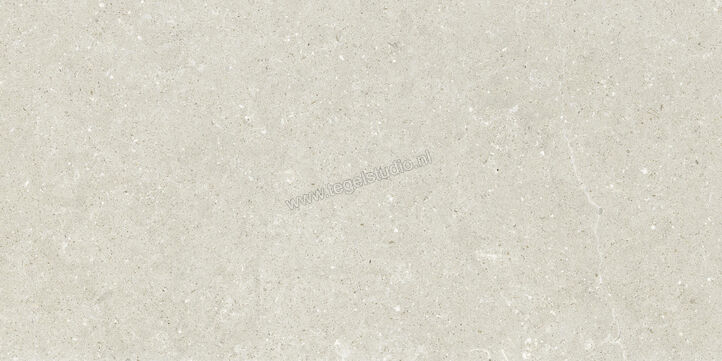  Del Conca Wild White 60x120 cm Vloertegel / Wandtegel Mat Vlak Naturale GCWD10R | 410145