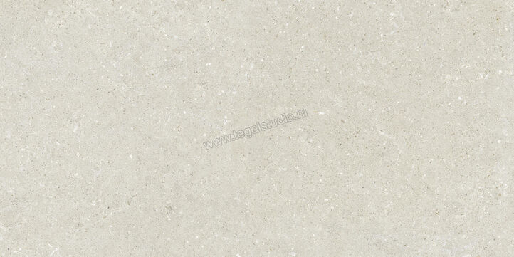  Del Conca Wild White 60x120 cm Vloertegel / Wandtegel Mat Vlak Naturale GCWD10R | 410148