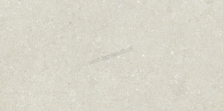  Del Conca Wild White 60x120 cm Vloertegel / Wandtegel Mat Vlak Naturale GCWD10R | 410151