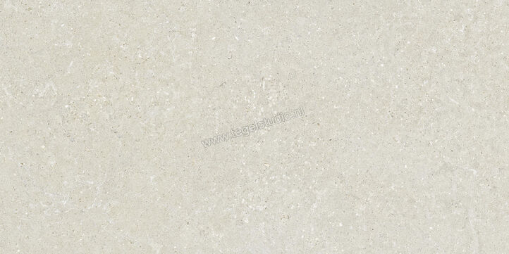  Del Conca Wild White 60x120 cm Vloertegel / Wandtegel Mat Vlak Naturale GCWD10R | 410154