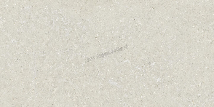  Del Conca Wild White 60x120 cm Vloertegel / Wandtegel Mat Vlak Naturale GCWD10R | 410160