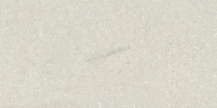  Del Conca Wild White 60x120 cm Vloertegel / Wandtegel Mat Vlak Naturale GCWD10R | 410163