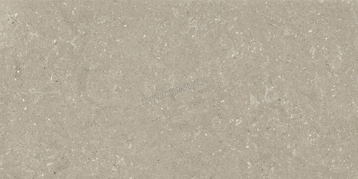  Del Conca Wild Greige 60x120 cm Vloertegel / Wandtegel Mat Vlak Naturale GCWD11R | 410166