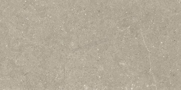  Del Conca Wild Greige 60x120 cm Vloertegel / Wandtegel Mat Vlak Naturale GCWD11R | 410169