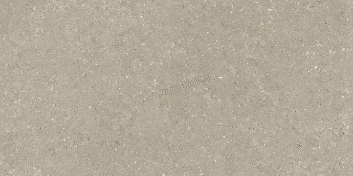  Del Conca Wild Greige 60x120 cm Vloertegel / Wandtegel Mat Vlak Naturale GCWD11R | 410172