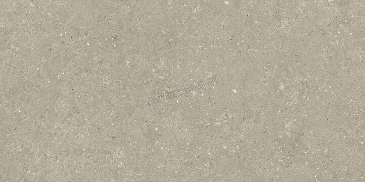  Del Conca Wild Greige 60x120 cm Vloertegel / Wandtegel Mat Vlak Naturale GCWD11R | 410175