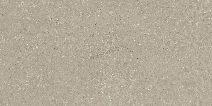  Del Conca Wild Greige 60x120 cm Vloertegel / Wandtegel Mat Vlak Naturale GCWD11R | 410178