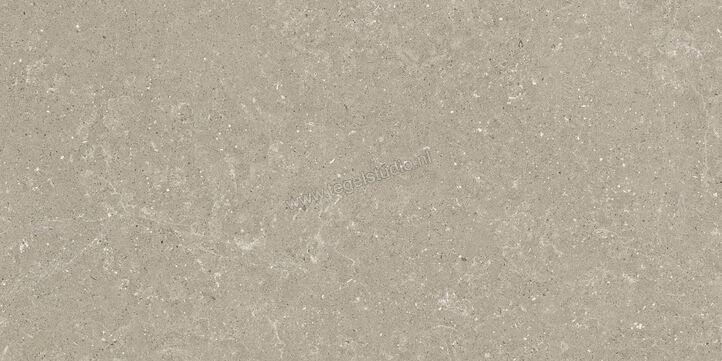  Del Conca Wild Greige 60x120 cm Vloertegel / Wandtegel Mat Vlak Naturale GCWD11R | 410181