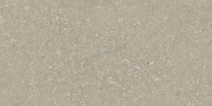  Del Conca Wild Greige 60x120 cm Vloertegel / Wandtegel Mat Vlak Naturale GCWD11R | 410184