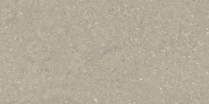  Del Conca Wild Greige 60x120 cm Vloertegel / Wandtegel Mat Vlak Naturale GCWD11R | 410187