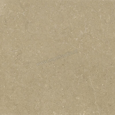  Del Conca Wild Beige 120x120 cm Vloertegel / Wandtegel Mat Vlak Naturale GRWD01R | 410190