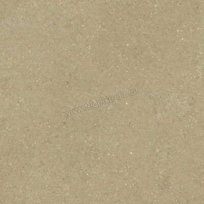  Del Conca Wild Beige 120x120 cm Vloertegel / Wandtegel Mat Vlak Naturale GRWD01R | 410193