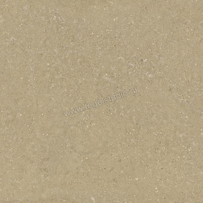  Del Conca Wild Beige 120x120 cm Vloertegel / Wandtegel Mat Vlak Naturale GRWD01R | 410199