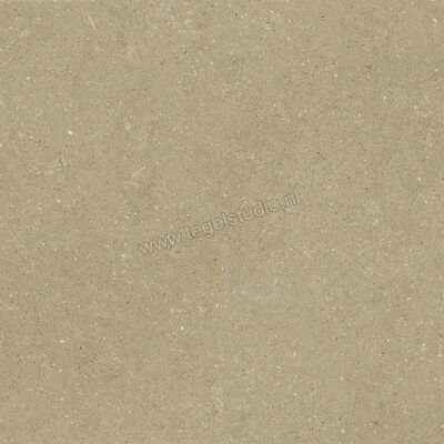  Del Conca Wild Beige 120x120 cm Vloertegel / Wandtegel Mat Vlak Naturale GRWD01R | 410202